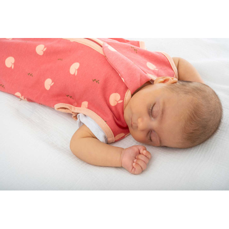 Υπνόσακος BabyBliss Χειμωνιάτικος 2.5tog "Lovely Apples" 6-18 Μηνών BLISS-SAC-0050