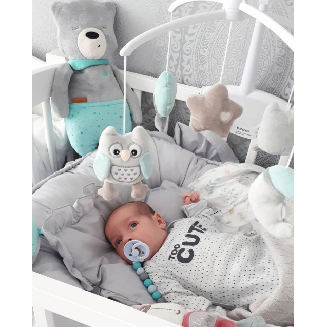 Μουσικό Mobile BabyOno Owl Sofia BN443