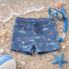 Μαγιό Σορτσάκι Fresk με προστασία UV50 Shark 5-6 ετών FR-SW2505-84-110