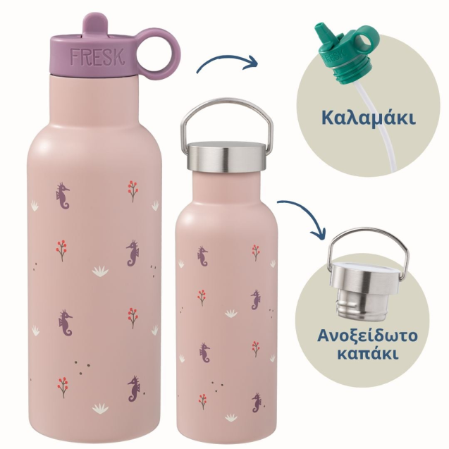Θερμός από ανοξείδωτο ατσάλι 500ml Seahorse...