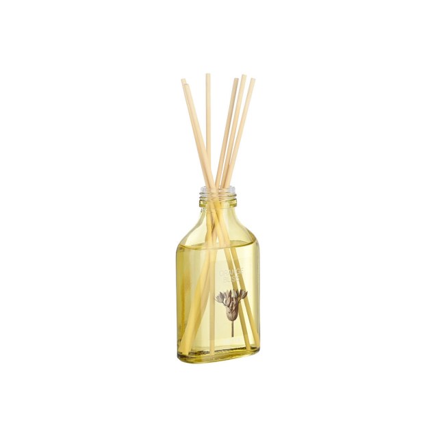 Estia Αρωματικό Χώρου Με Στικ Orange Bliss 100Ml