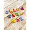 Ξύλινο Γράμμα R Alphabet Letters Orange Tree Toys