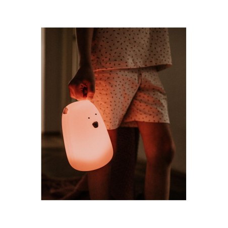 Φωτιστικό Σιλικόνης Bear Lamp Pink 16cm με Τηλεχειριστήριο Rabbit & Friends
