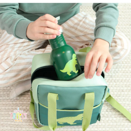 Μπουκάλι Ανοξείδωτο Ατσάλι Α Little Lovely Company Dinosaur 350ml DBSMDI112