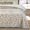 Κουβέρτα Βελουτέ Υπέρδιπλη Greenwich Polo Club 4023 Beige 220x240