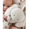 Μουσικό Ελεφαντάκι Teddy Nattou N856171