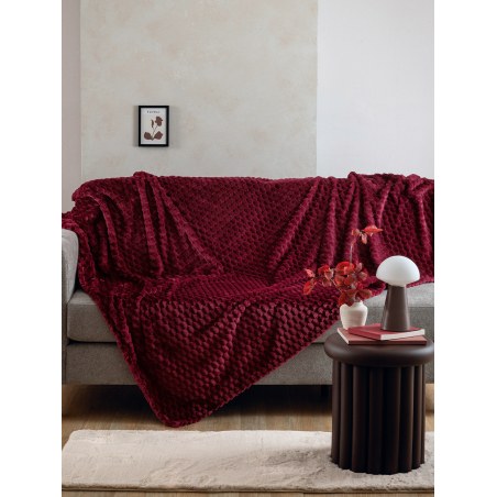 Κουβέρτα Fleece Μονή Palamaiki Aster Wine 160x220
