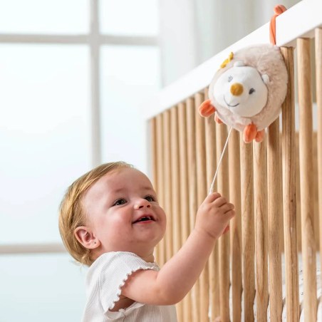 Μουσικό Σκατζοχοιράκι Mila Zoe & Lana Zoe Nattou N266086