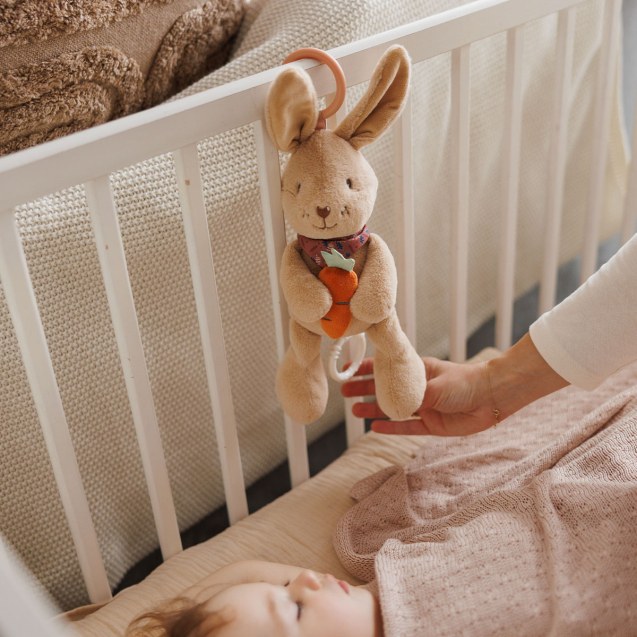 Βρεφικό Μουσικό Παιχνίδι Babyono Λαγουδάκι Karo...